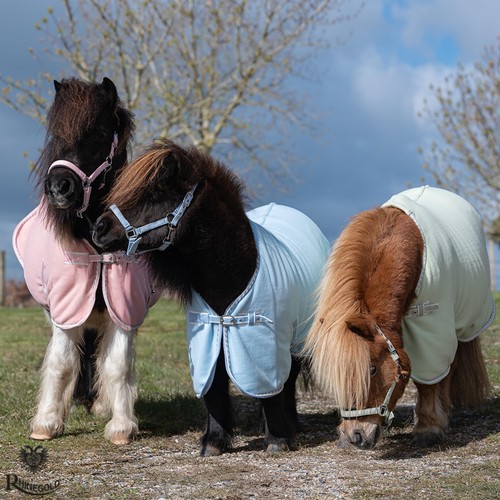 Mini pony shetland - shetland, fleece