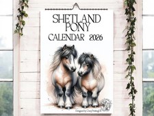 Shetland Pony Calendar