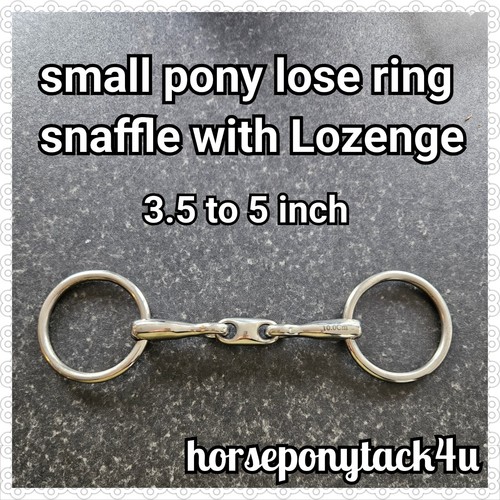 Shetland small pony loose - shetland, or