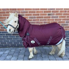 Ruggles 400g Combo Turnout Rug