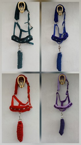 Headcollar lead with soft - with,