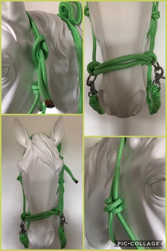 Rope halter with reins - halter, reins,bitless