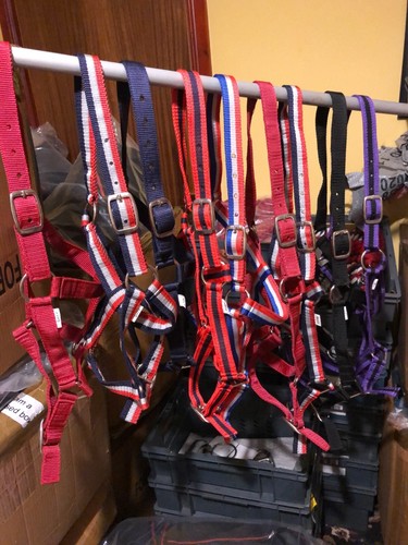 Pack nylon headcollars - of,
