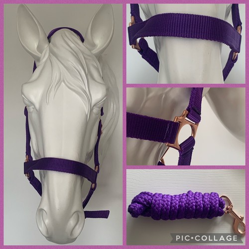 Headcollar and lead - headcollar,