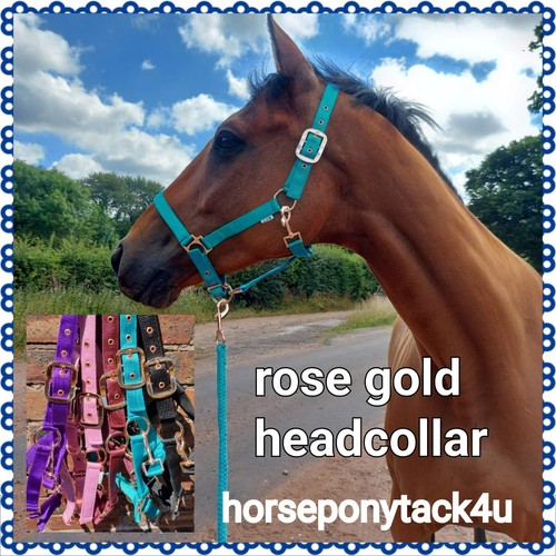 Rose gold headcollars - gold,