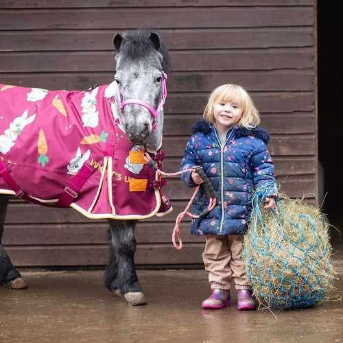 Small haynet shetland pony - small,