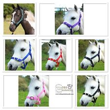HEADCOLLAR & LEADROPE SET