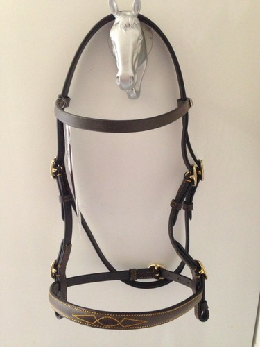 Hand bridle shetland pony - in-hand,