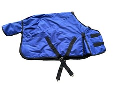 Mini Shetland Pony Foal