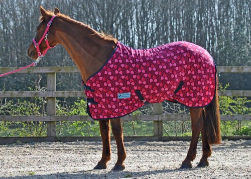 Maxima fleece rug - maxima, horse