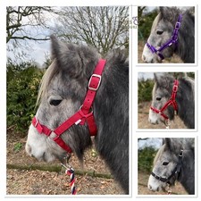 10-PACK OF NYLON HEADCOLLARS -