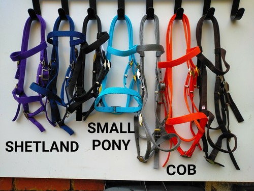 Bridle shetland small - bridle, pony