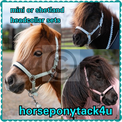 New small miniature horse - new,