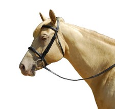 Windsor Leather Horse Pony