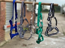 Horse Headcollar Halter Mixed